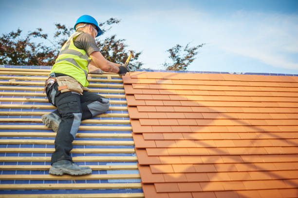 Best Solar Panel Roofing Installation  in Neffs, OH
